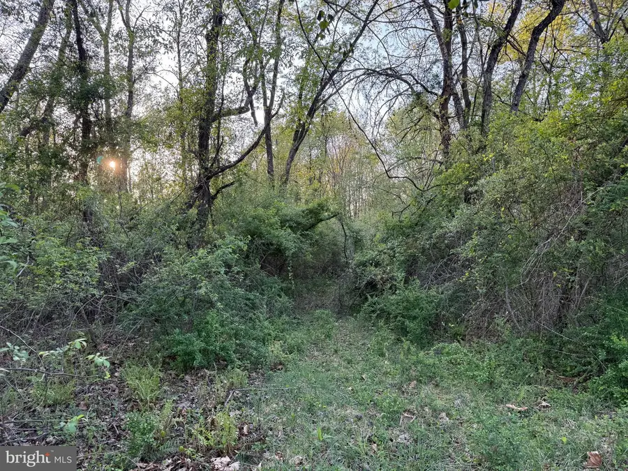 Hackamore Ln, Berkeley Springs, WV 25411 - #3