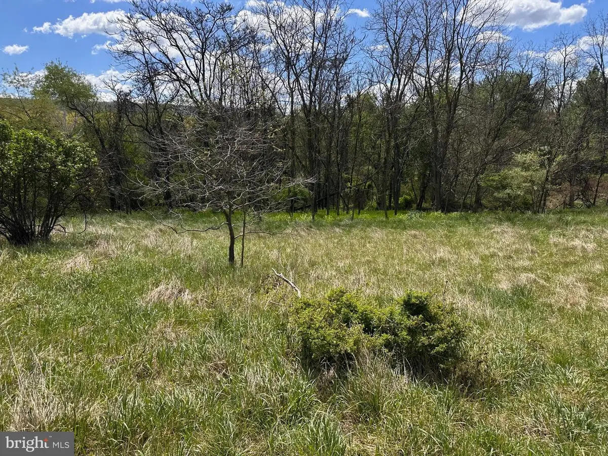 22.52 Ac Winchester Grade Road, Berkeley Springs, WV 25411 - #1