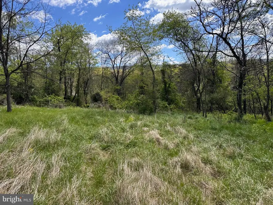 22.52 Ac Winchester Grade Road, Berkeley Springs, WV 25411 - #2