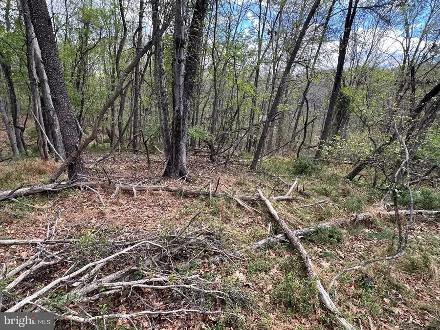 22.52 Ac Winchester Grade Road, Berkeley Springs, WV 25411 - #3