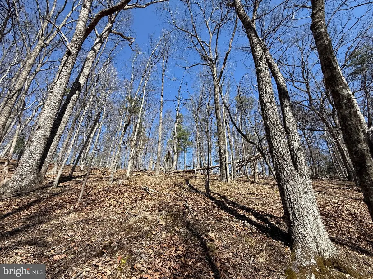 Kentucky Lane, Berkeley Springs, WV 25411 - #1