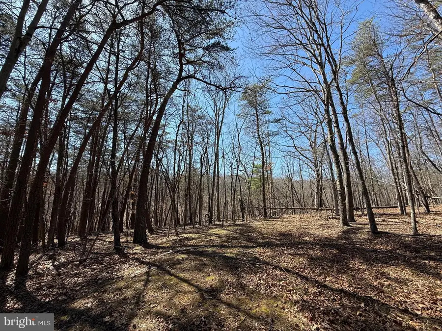 Kentucky Lane, Berkeley Springs, WV 25411 - #3