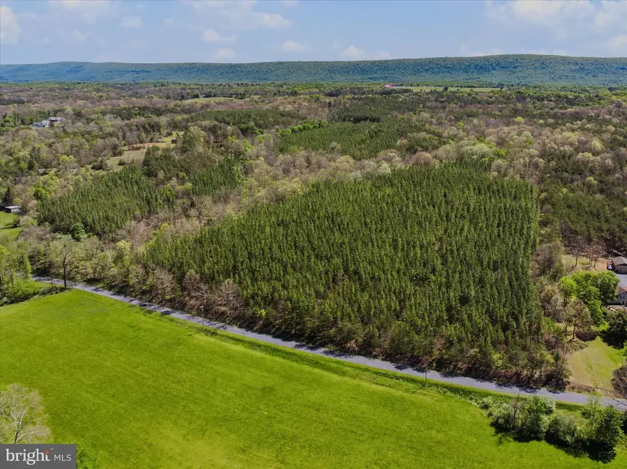 Off Virginia Line Rd, Berkeley Springs, WV 25411 - #3