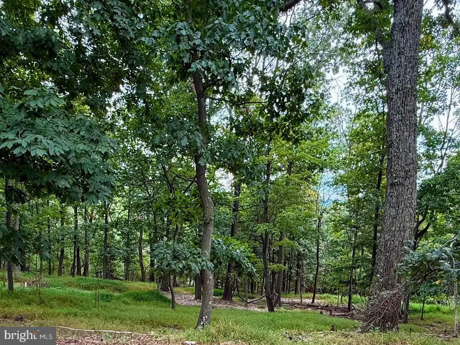 Fawn Run, Hedgesville, WV 25427 - #3