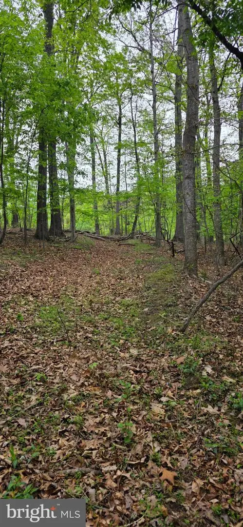 0 Audubon Rd, Hedgesville, WV 25427 - #1