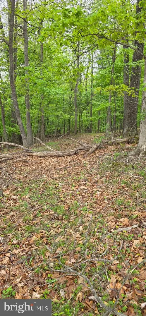 0 Audubon Rd, Hedgesville, WV 25427 - #3