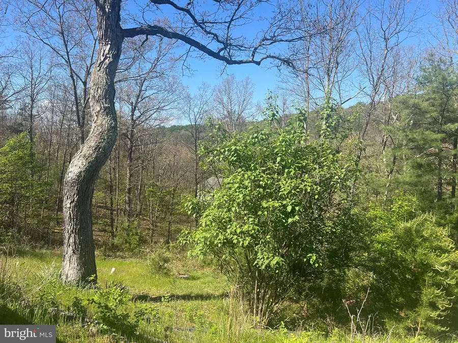 73 Mullen Ln, Berkeley Springs, WV 25411 - #3