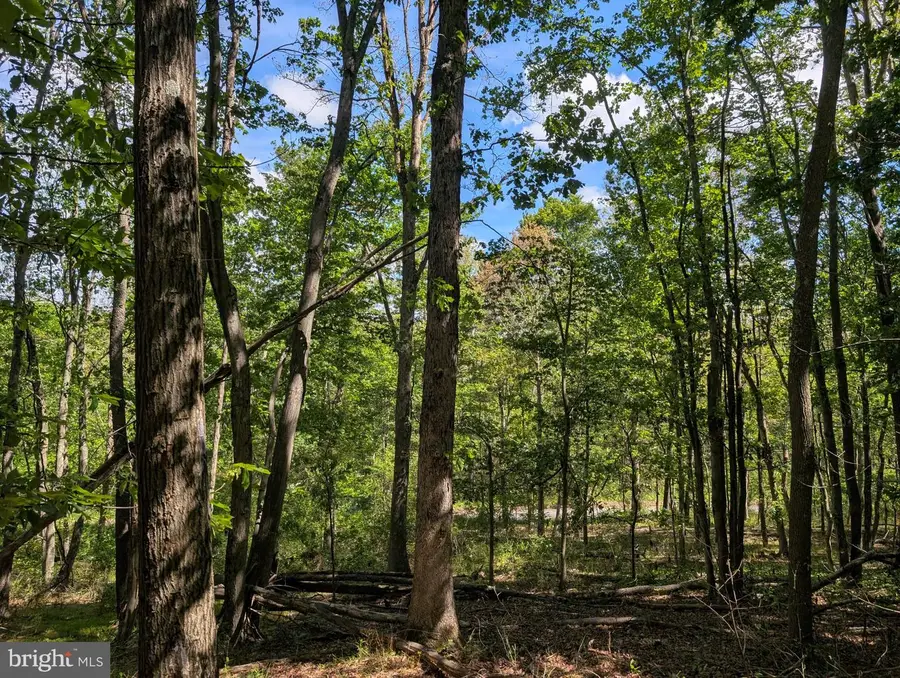 301 Bottom Rd, Great Cacapon, WV 25422 - #2