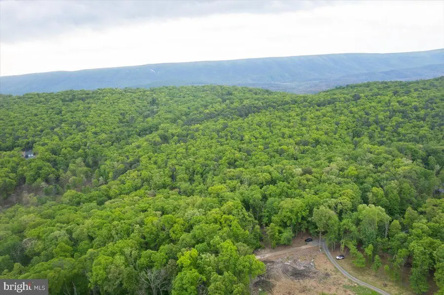 317 Katelyn Ln, Great Cacapon, WV 25422 - #3