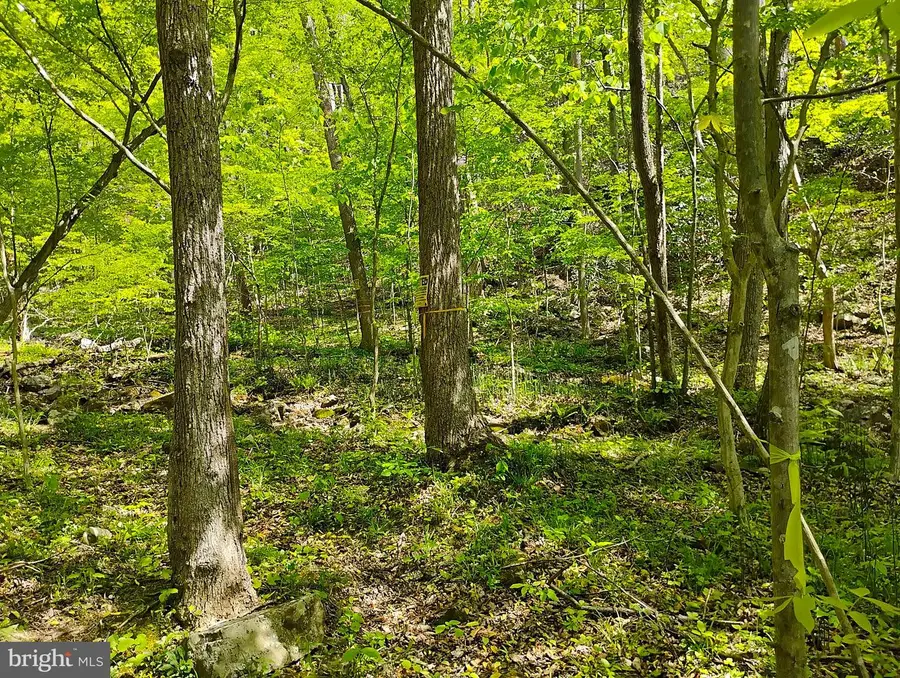 Sir Johns Run Rd, Berkeley Springs, WV 25411 - #2
