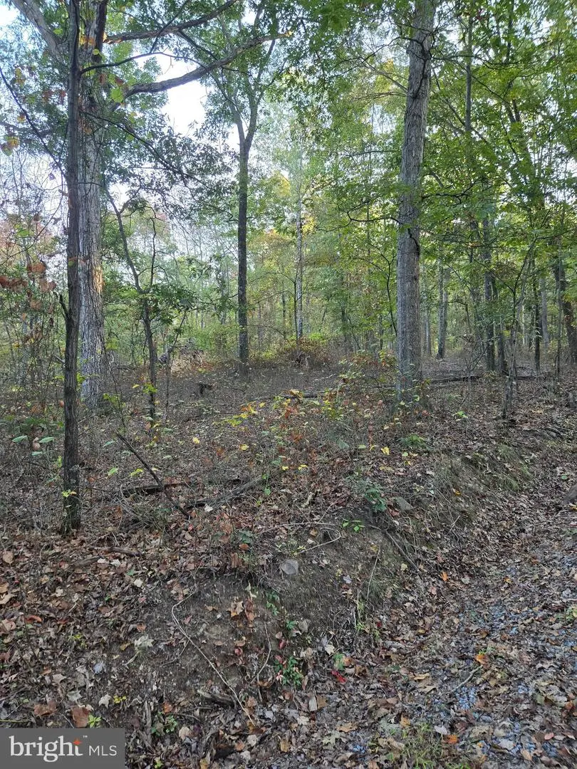 Hungaria Rd, Berkeley Springs, WV 25411 - #1