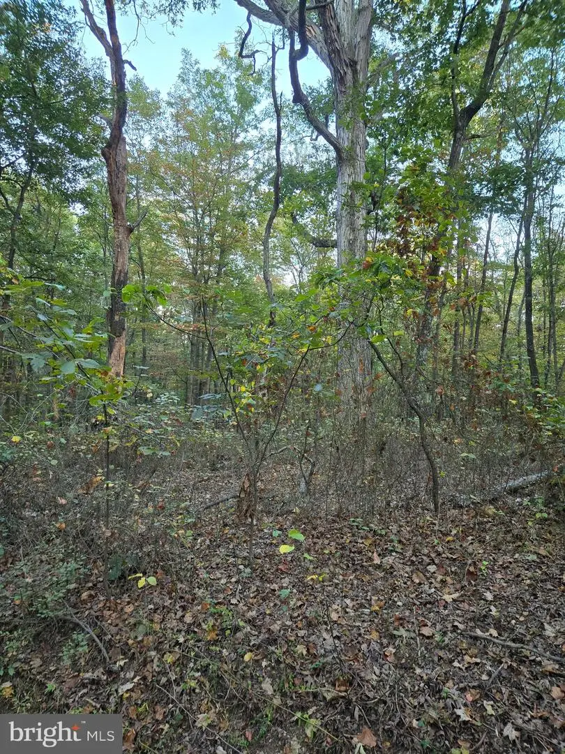 Hungaria Rd, Berkeley Springs, WV 25411 - #2