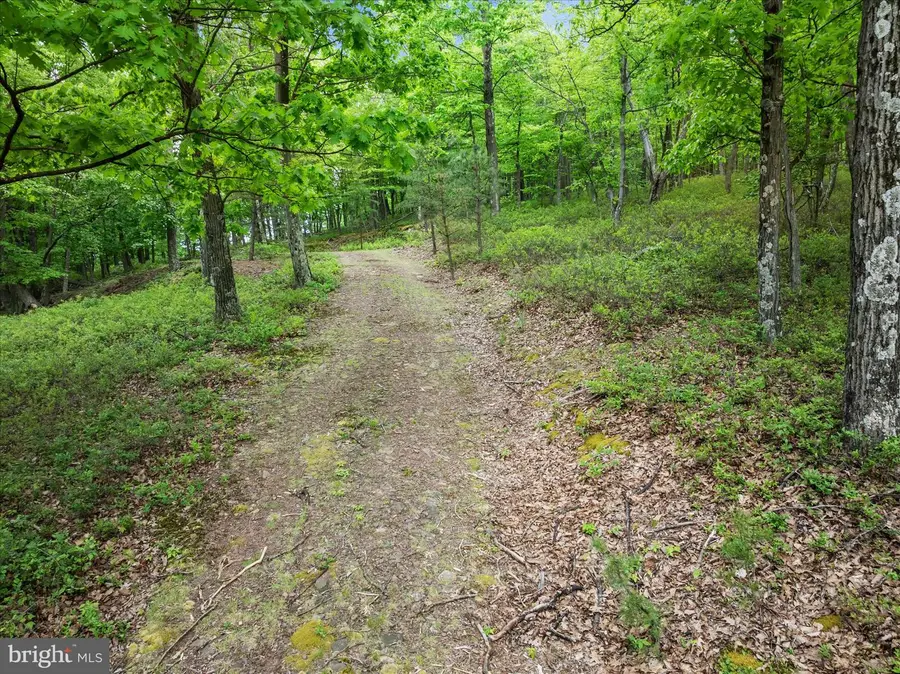 651 Breathless Way, Berkeley Springs, WV 25411 - #3