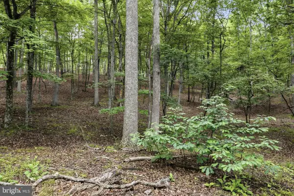 0 Pioneer Trail Trl, GREAT CACAPON, WV 25422