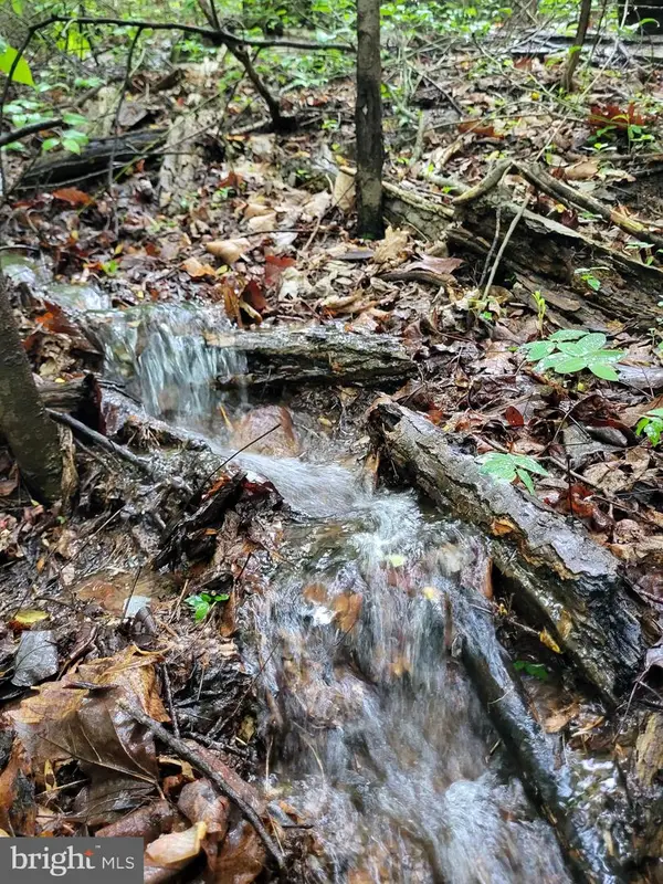 Lot 12 Feather Bed Ln, HEDGESVILLE, WV 25427