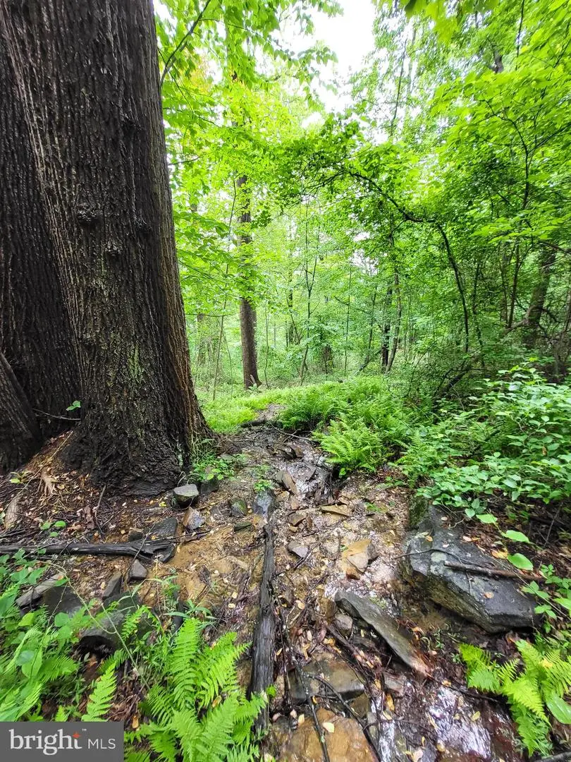 Lot 12 Feather Bed Ln, Hedgesville, WV 25427 - #2
