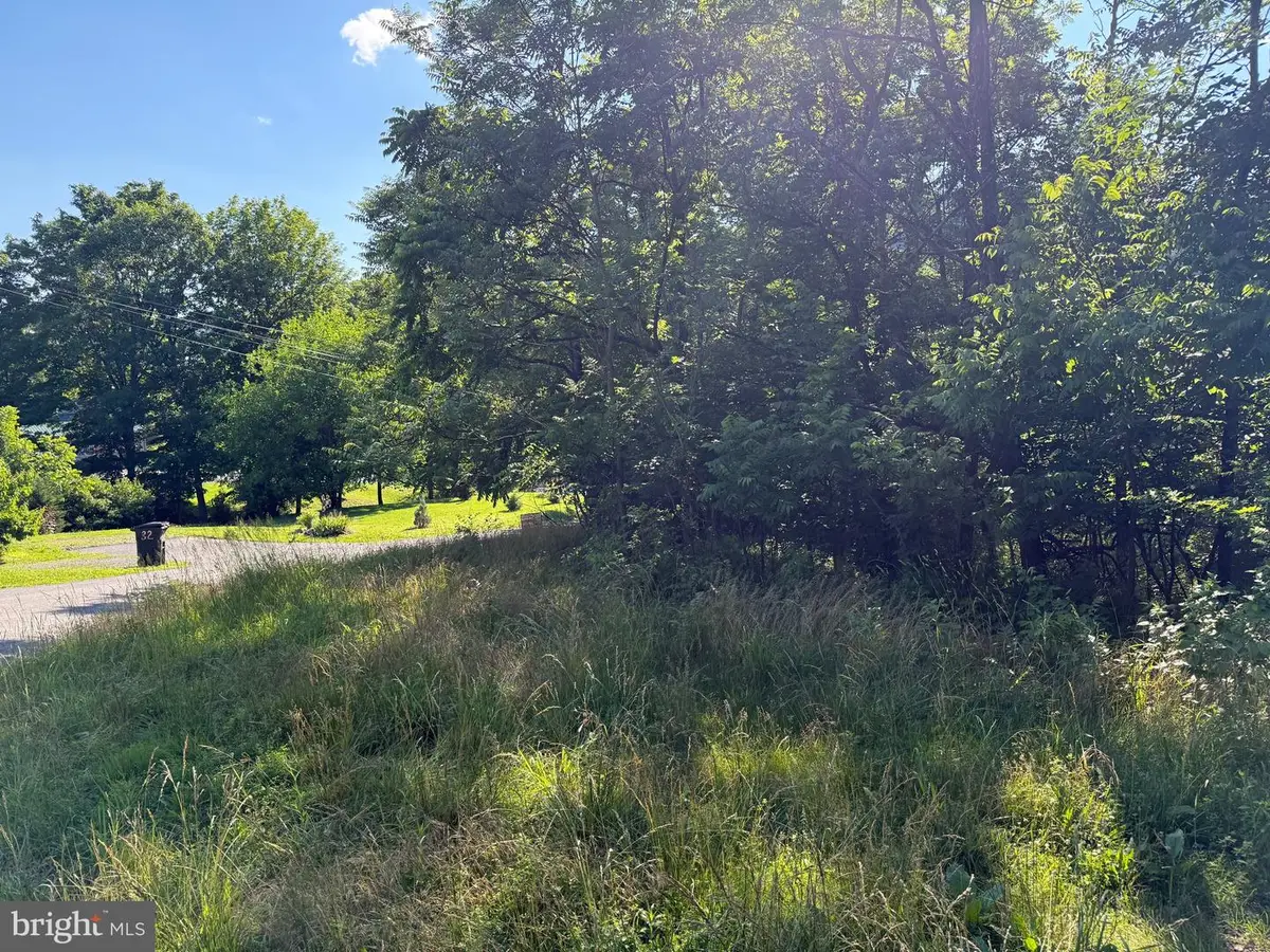 Sherrill Ln, Berkeley Springs, WV 25411 - #1