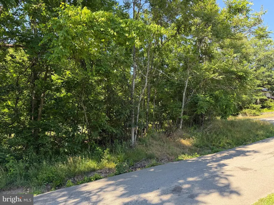 Sherrill Ln, Berkeley Springs, WV 25411 - #3