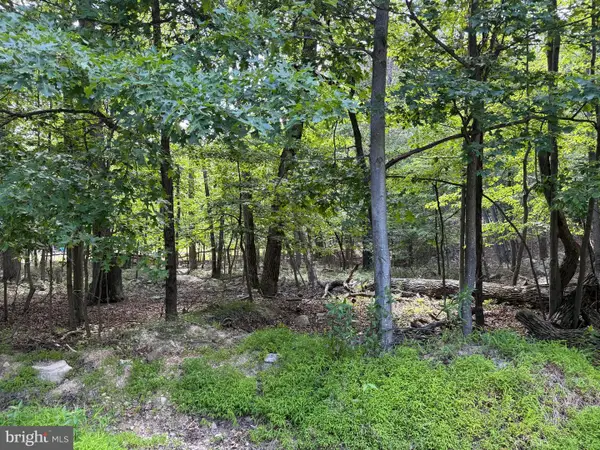 Roberts Rd, GREAT CACAPON, WV 25422