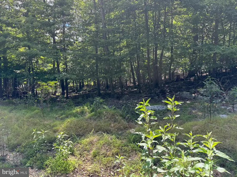 Roberts Rd, Great Cacapon, WV 25422 - #2