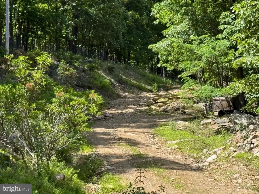 Roberts Rd, Great Cacapon, WV 25422 - #3