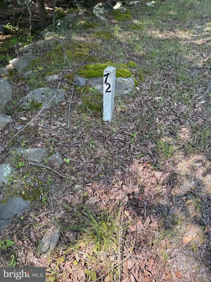 Lot 72 Parkside Dr, Berkeley Springs, WV 25411 - #3