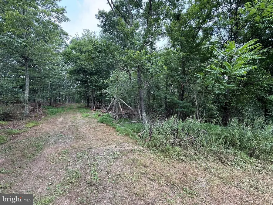 Hungaria Avenue, Berkeley Springs, WV 25411 - #3