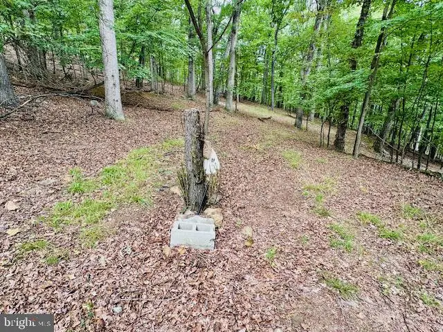 Lot 2 Pepper Ln, Great Cacapon, WV 25422 - #3