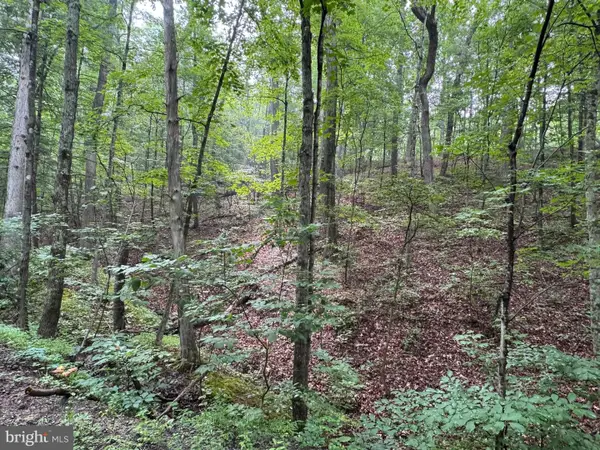 Cacapon Retreat Lane, GREAT CACAPON, WV 25422