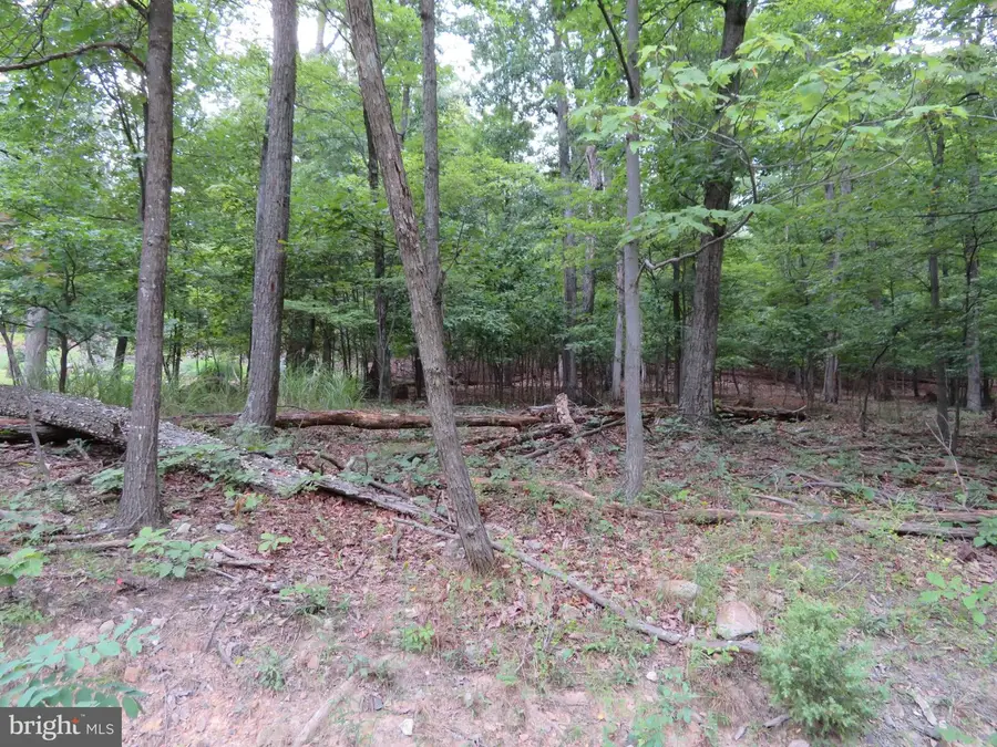 Lot 11 Audubon Rd, Hedgesville, WV 25427 - #2