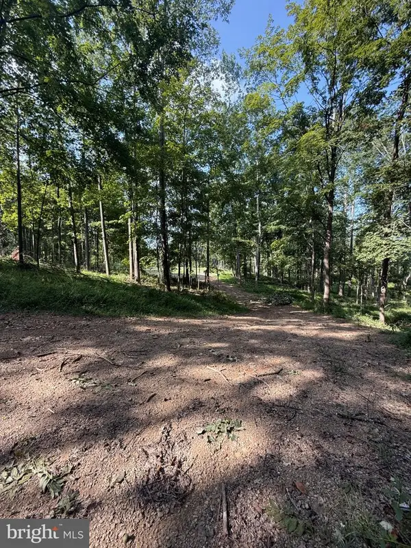 Sir Johns Run Rd, BERKELEY SPRINGS, WV 25411