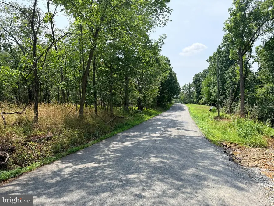 4272 Timber Ridge Rd, Berkeley Springs, WV 25411 - #2