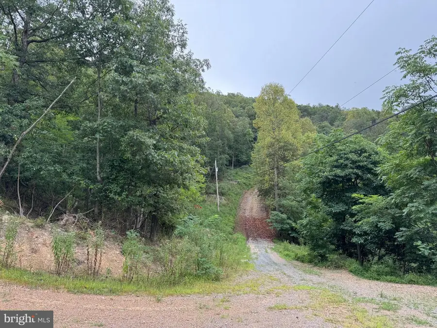 812 Lonesome Pine Ln, Great Cacapon, WV 25422 - #2