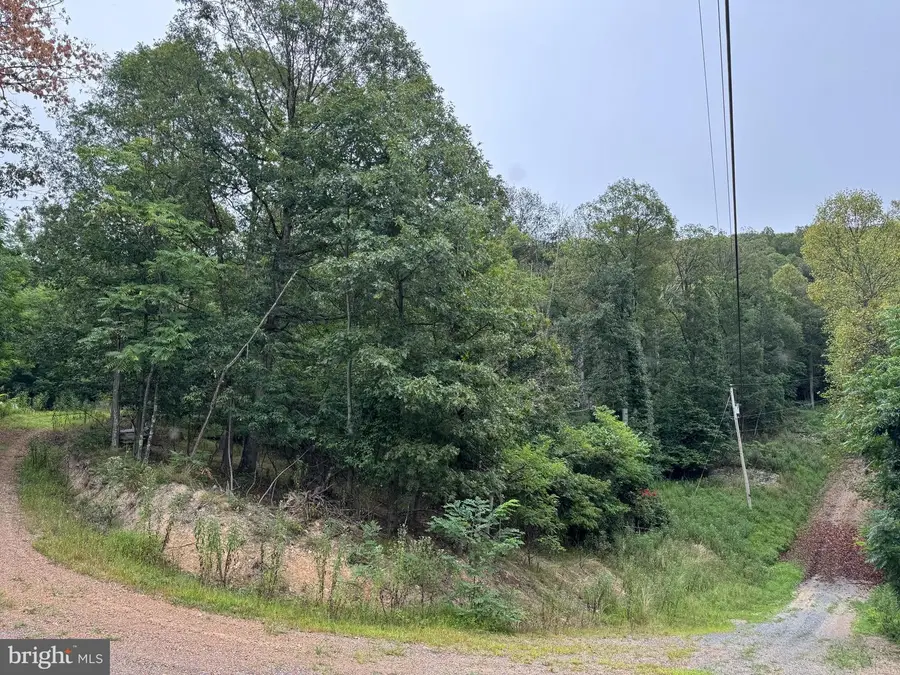 812 Lonesome Pine Ln, Great Cacapon, WV 25422 - #3