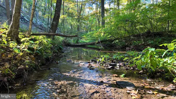 Cold Run Valley Rd, BERKELEY SPRINGS, WV 25411