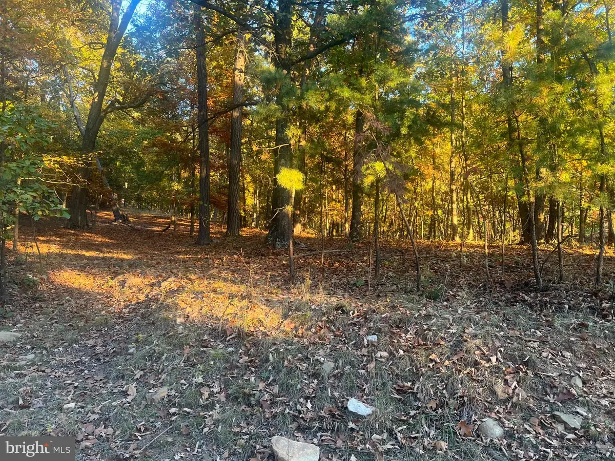695 Seldom Seen Rd, Great Cacapon, WV 25422 - #1