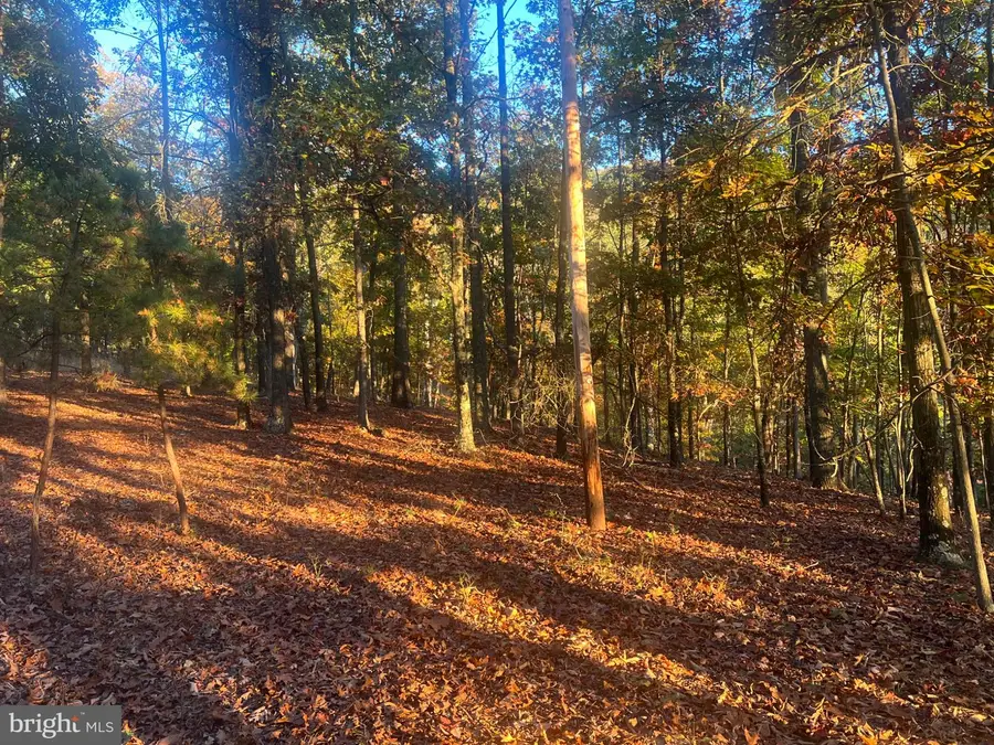 695 Seldom Seen Rd, Great Cacapon, WV 25422 - #3