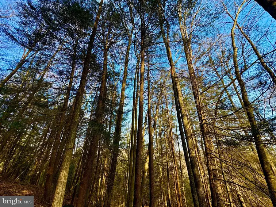 Lot 30 Wild Flower Way, Albright, WV 26519 - #2