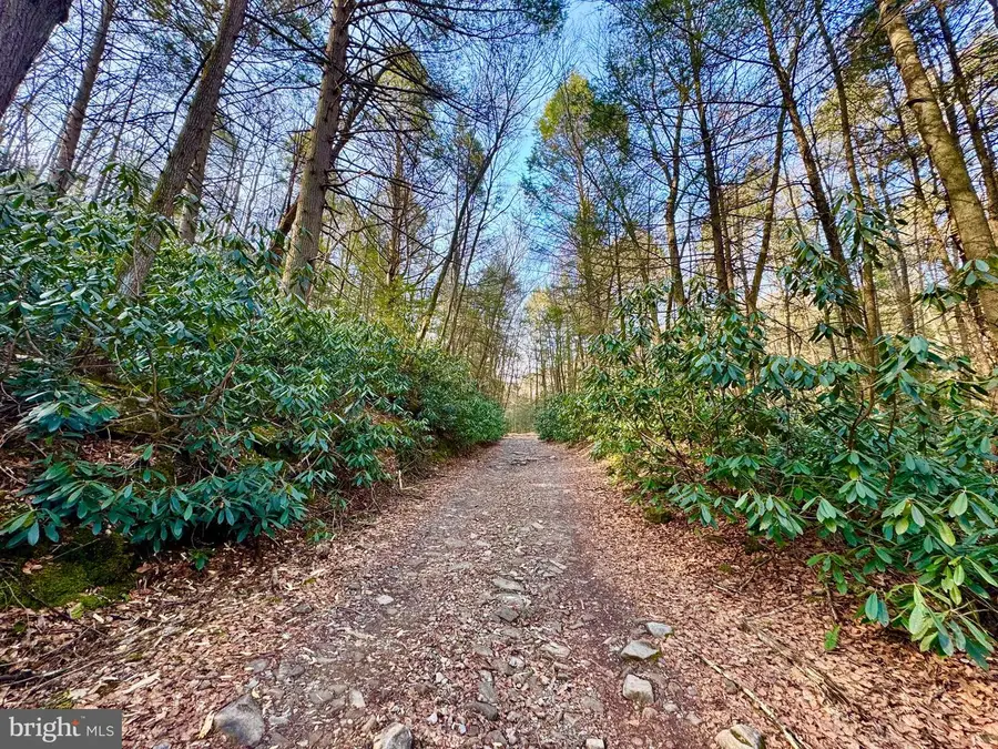 Lot 30 Wild Flower Way, Albright, WV 26519 - #3