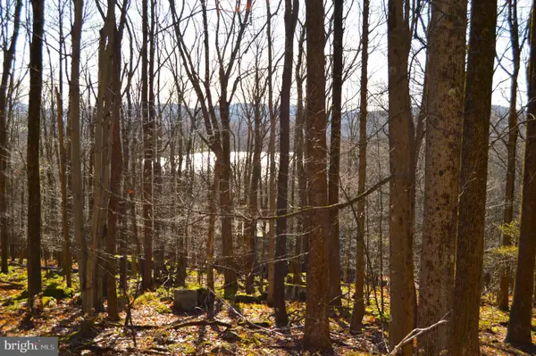 Lot 154 Daisy Dr, TERRA ALTA, WV 26764