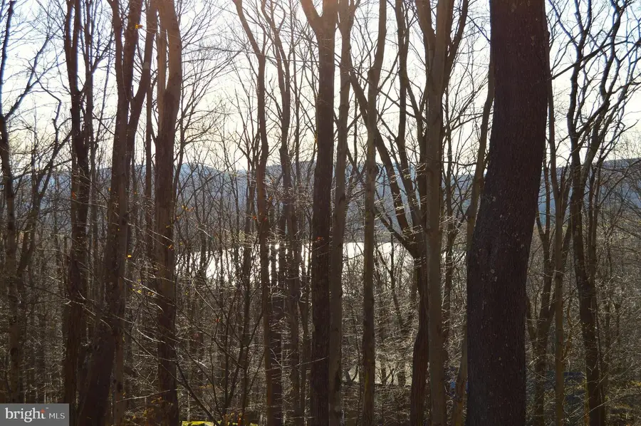 Lot 154 Daisy Dr, Terra Alta, WV 26764 - Image #2