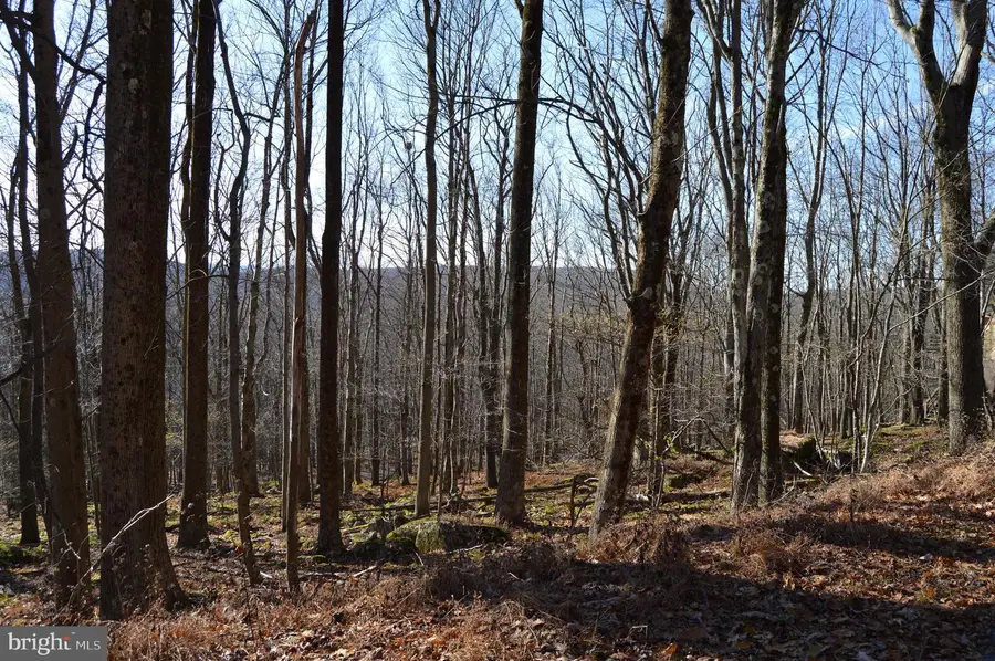 Lot 154 Daisy Dr, Terra Alta, WV 26764 - Image #3
