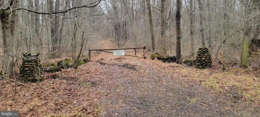 Camp Galilee Rd, Terra Alta, WV 26764 - Image #2