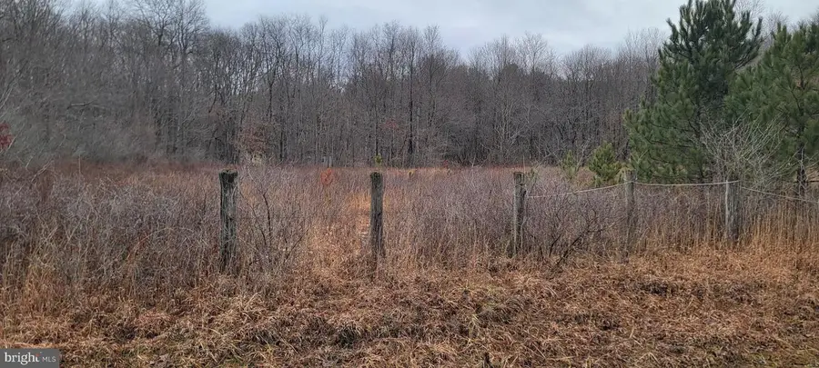 Camp Galilee Rd, Terra Alta, WV 26764 - Image #3