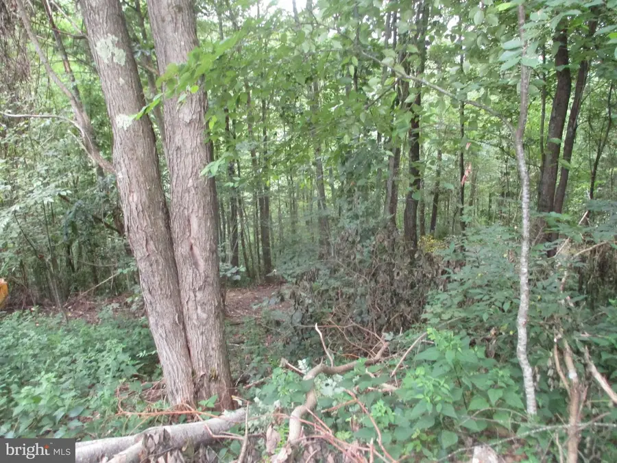 1000 Snake Rd, Aurora, WV 26705 - Image #2