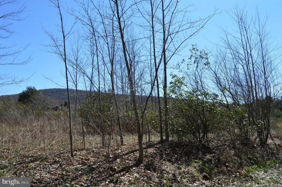 Lots 1 And 2 Grosbeak Dr, Terra Alta, WV 26764 - #1
