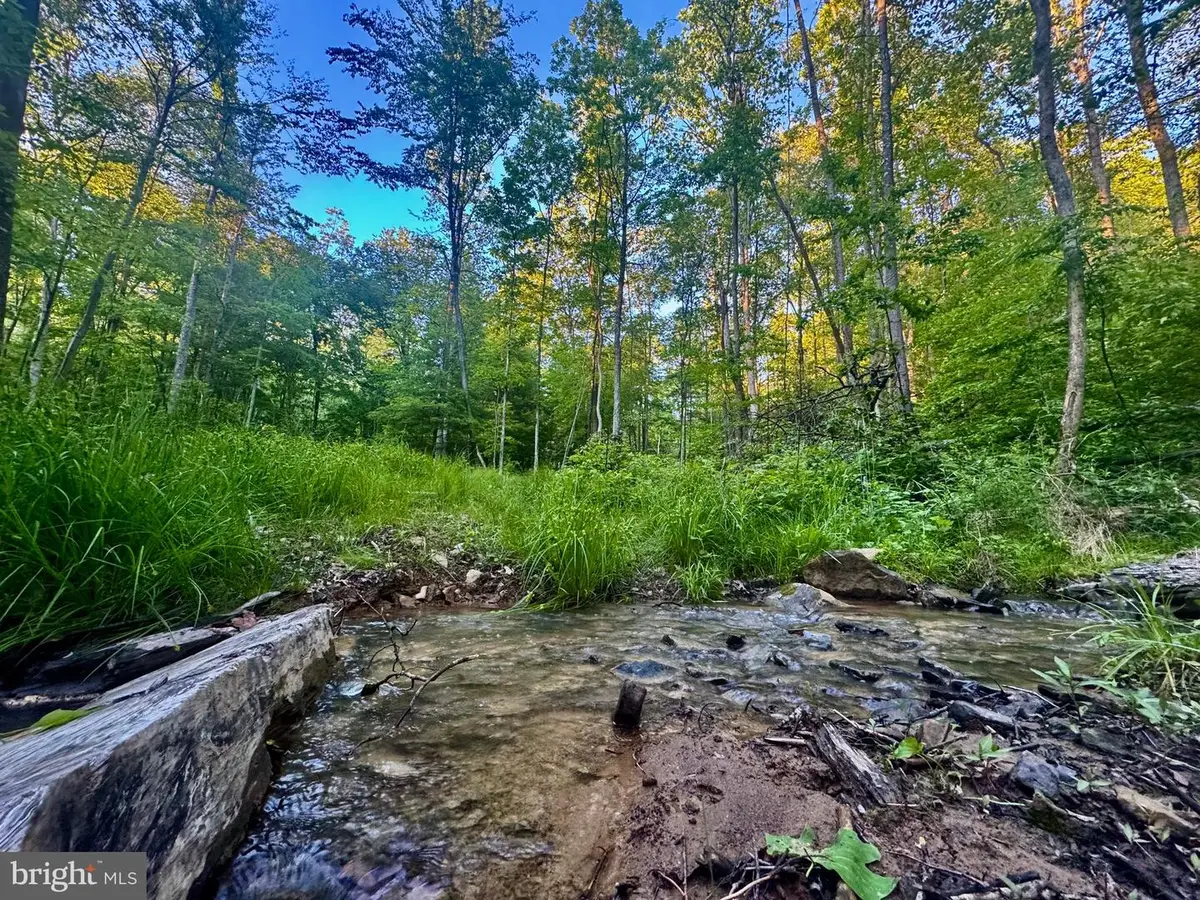 Tract B John Orr Rd, Independence, WV 26374 - #1