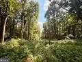 1028 Blanche Fullmer Rd, Tunnelton, WV 26444 - #2