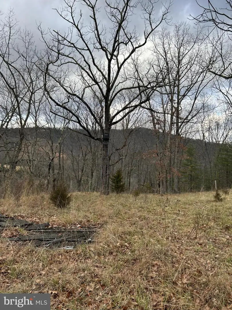 365 Strauter Rd, Franklin, WV 26807 - Image #3