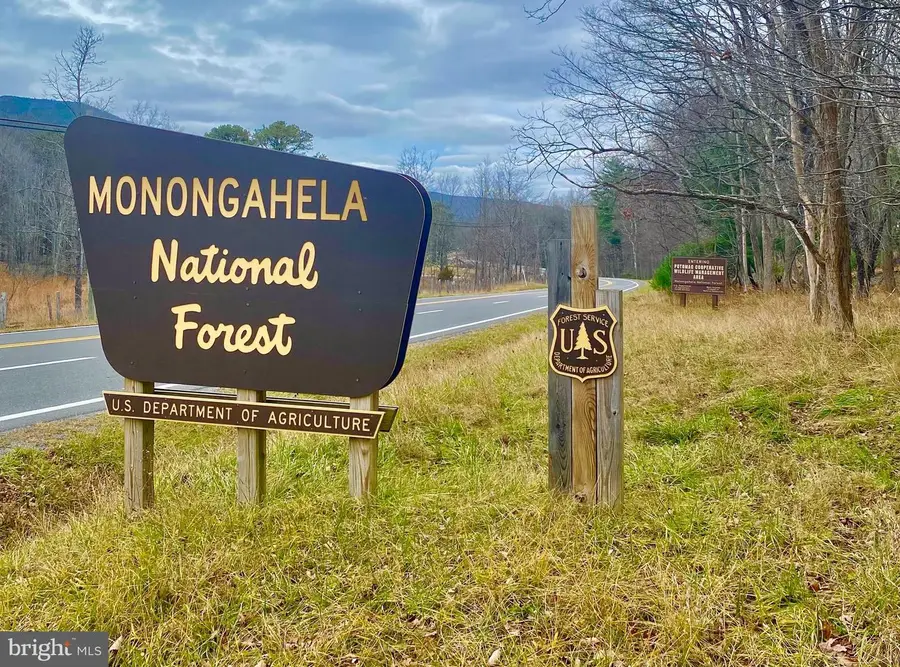 Tbd Route 33, Franklin, WV 26807 - Image #2